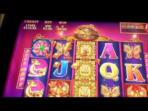 50 free casino spins at Casino Shadowbet