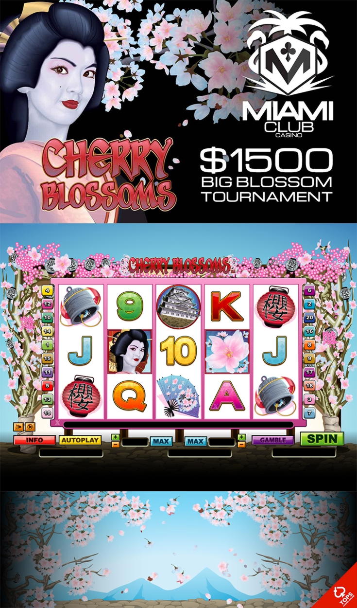 €95 Mobile freeroll slot tournament at Dream Dubai Casino