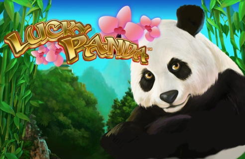 140 Free spins no deposit casino at Red Spins Casino