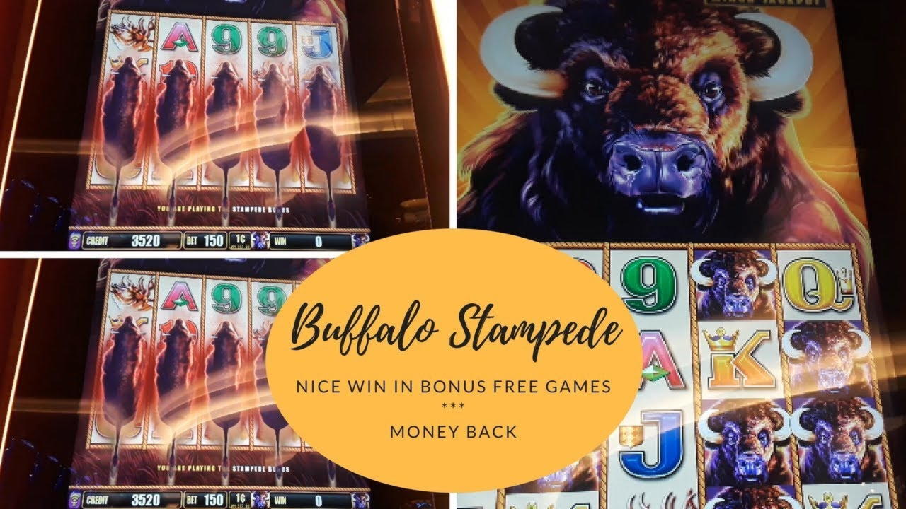EURO 250 FREE Casino Chip at Volt Casino