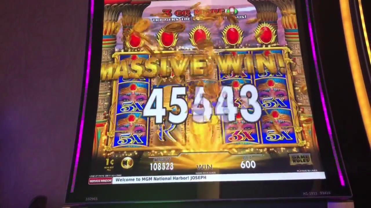$480 Free Cash at Bet Hard Casino