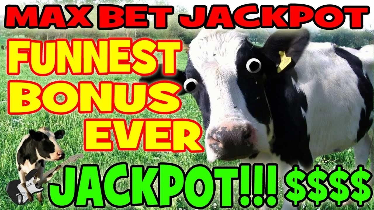 £130 Casino tournaments freeroll at Dunder Casino