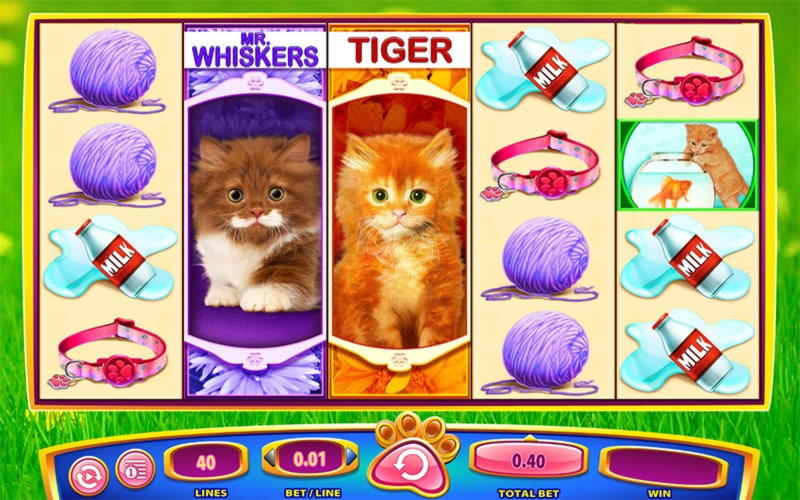 370% Signup casino bonus at CasiPlay Casino