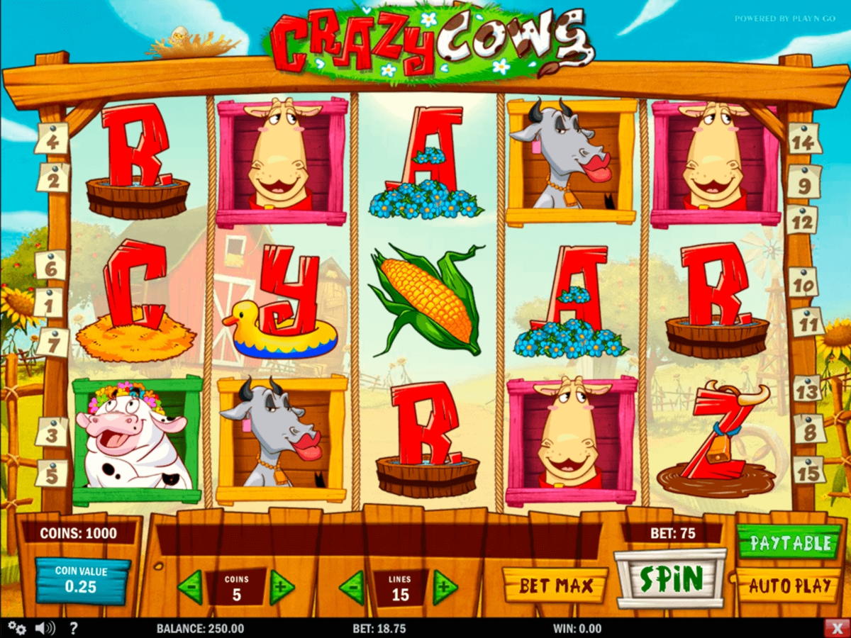 EURO 1275 NO DEPOSIT at Casimba Casino