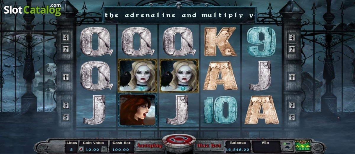 245 Free Spins at Royal Panda Casino