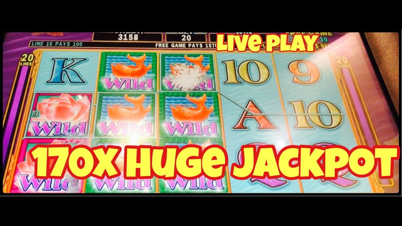 185 free spins casino at Leo Dubai Casino