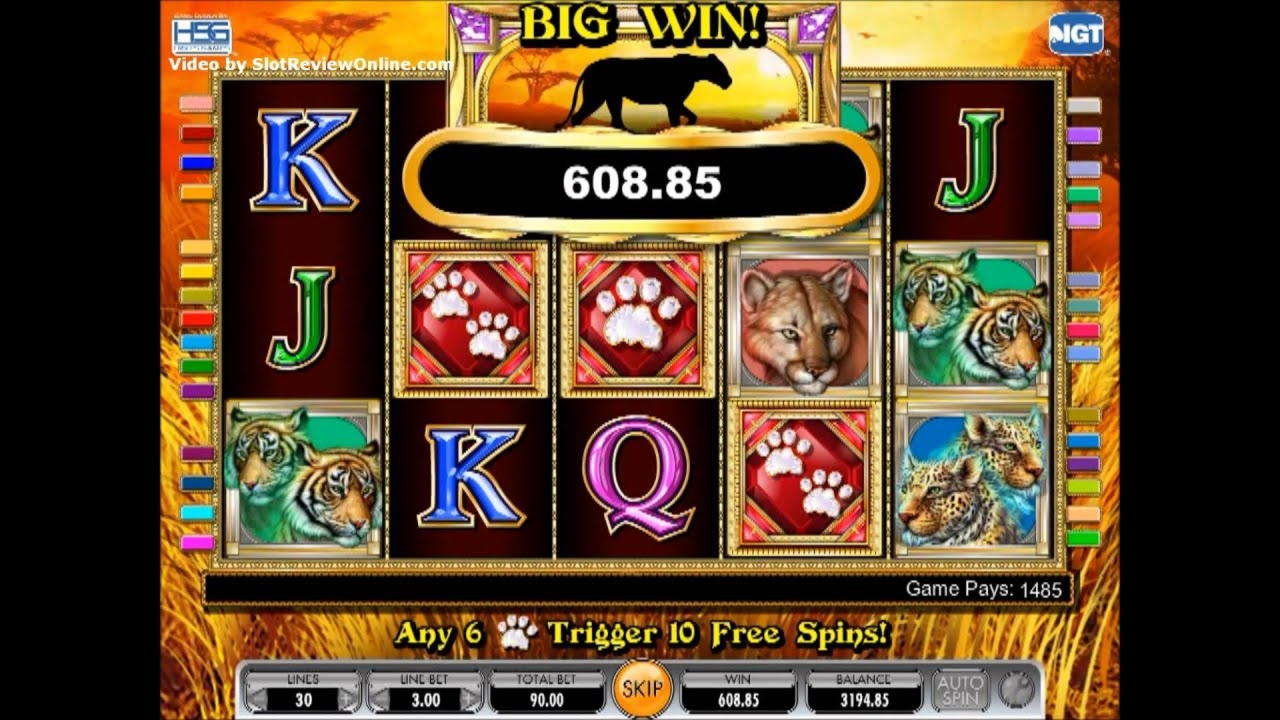 77 Free Spins right now at Hopa Casino