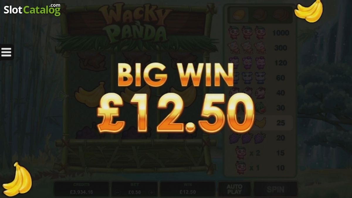 ﻿$555 NO DEPOSIT at Casimba Casino
