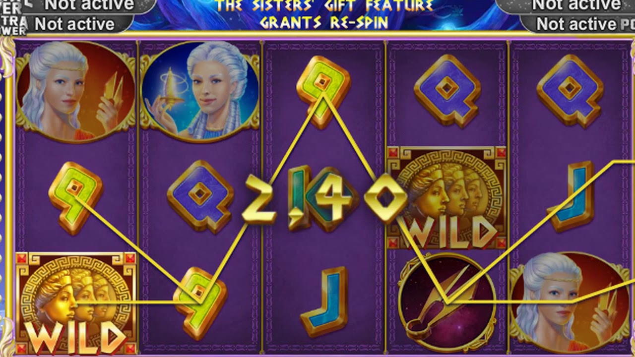 €795 No Deposit Bonus at Hopa Casino