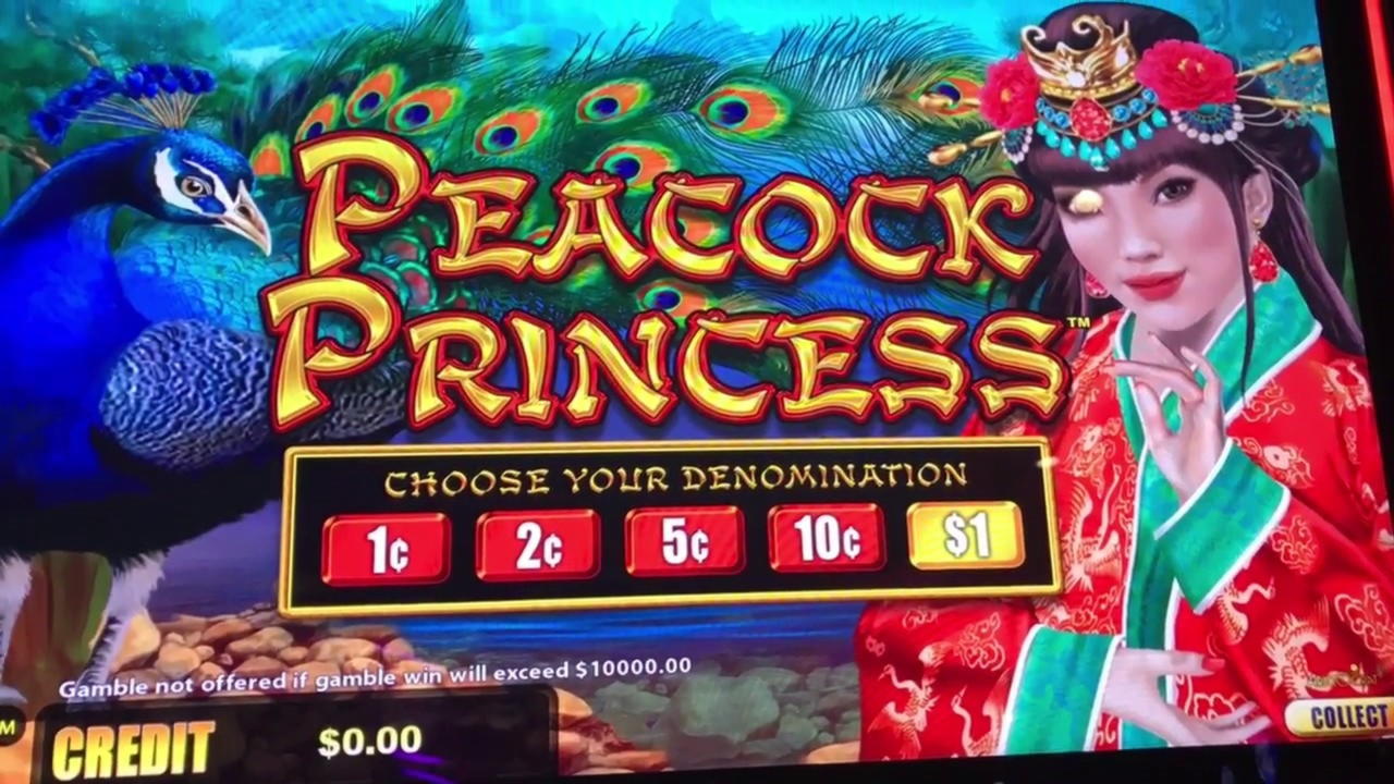 EUR 2495 NO DEPOSIT BONUS CASINO at Casino com