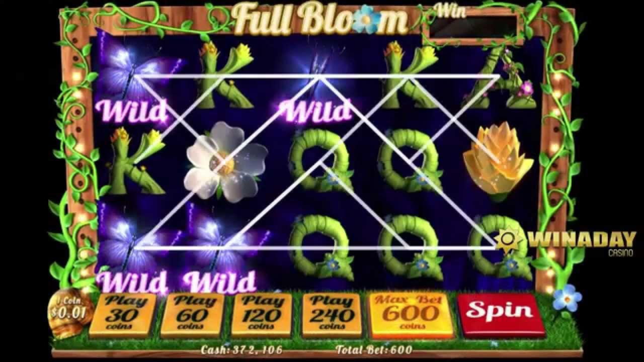 EURO 3750 no deposit at Mansion Bet Casino