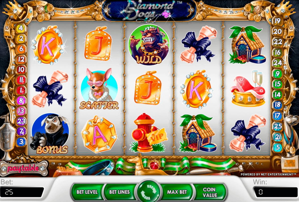 70% Match at a Casino at Dunder Casino