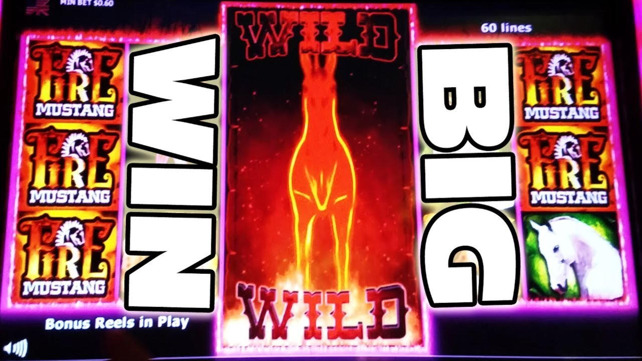 990% Signup Casino Bonus at Leo Dubai Casino