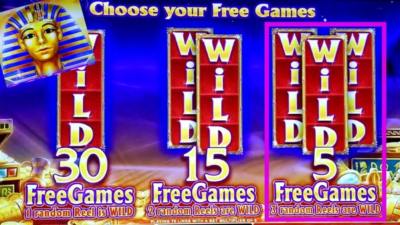€3265 no deposit bonus code at Casino Shadowbet