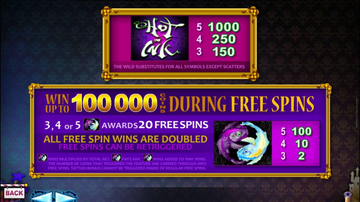 45 FREE Spins at CasiPlay Casino