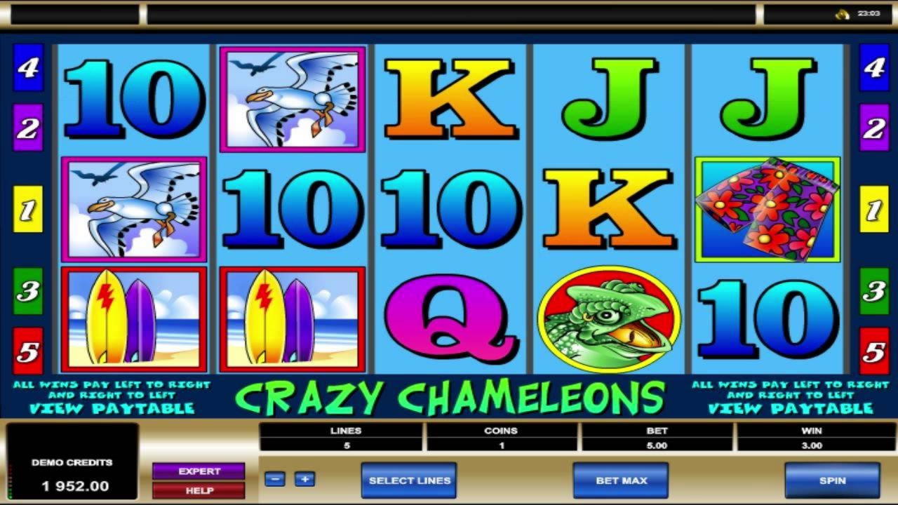 540% Casino match bonus at Leo Dubai Casino