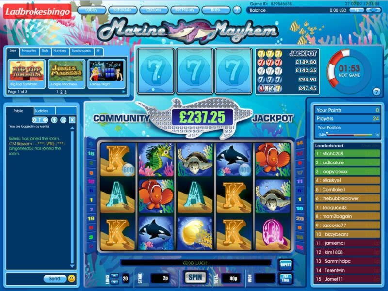 275 Free Spins right now at Hopa Casino