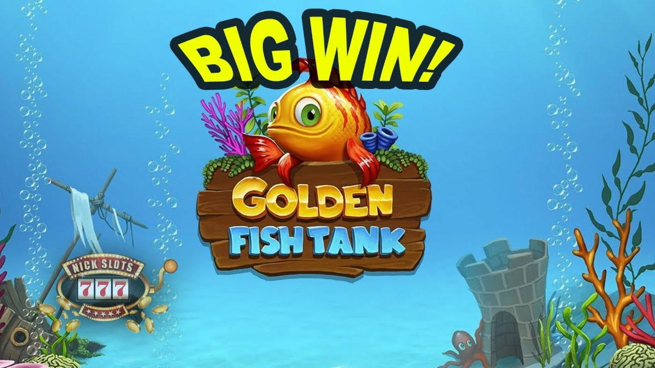 ﻿$885 Daily freeroll slot tournament at Sloty Casino