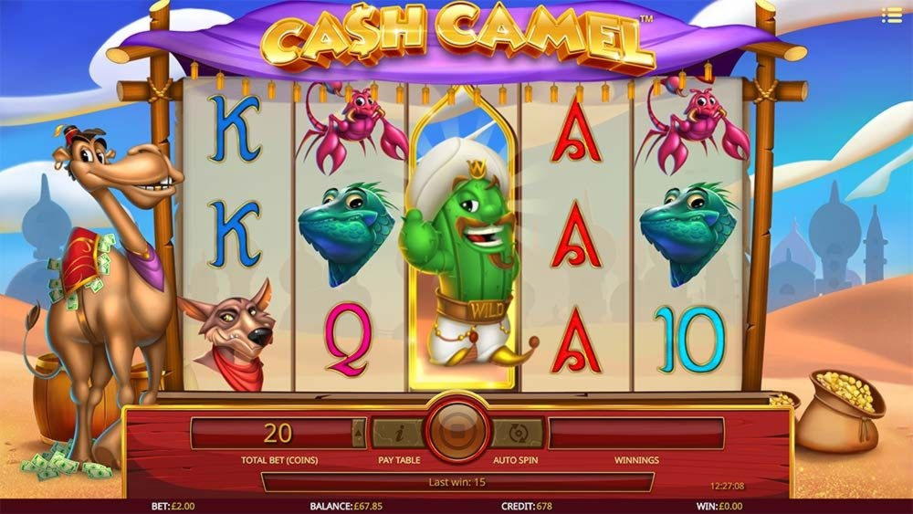 £2600 no deposit at Hopa Casino