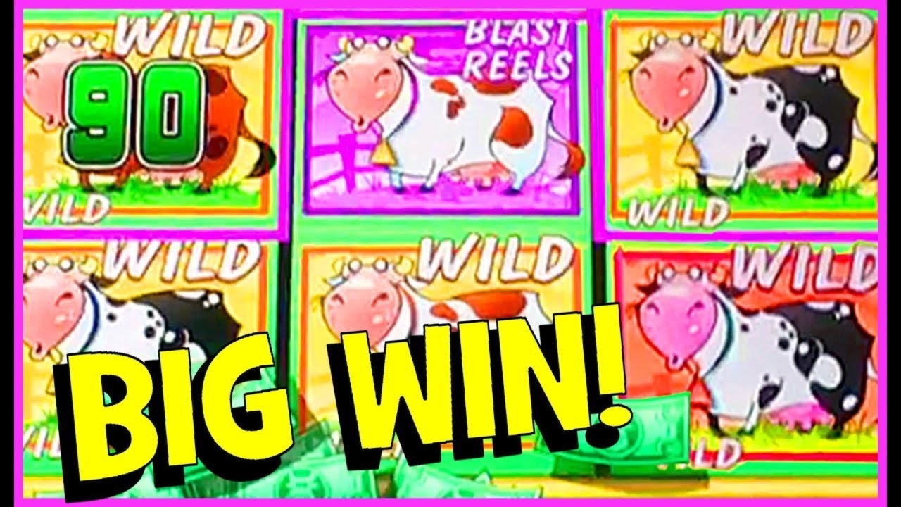 €65 Free casino chip at Dunder Casino