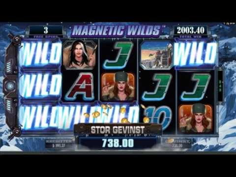 €600 Free Casino Tournament at Dunder Casino