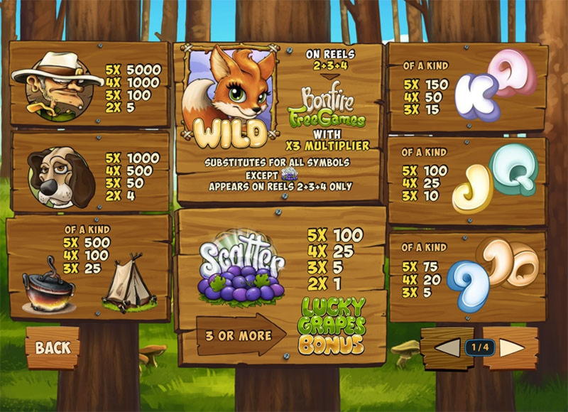 355% Match bonus casino at CasiPlay Casino