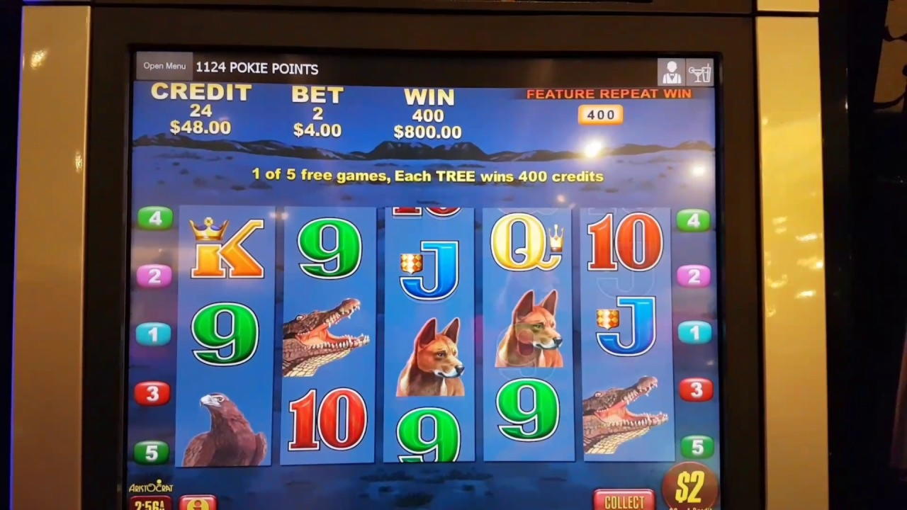 EUR 295 free casino chip at Casimba Casino