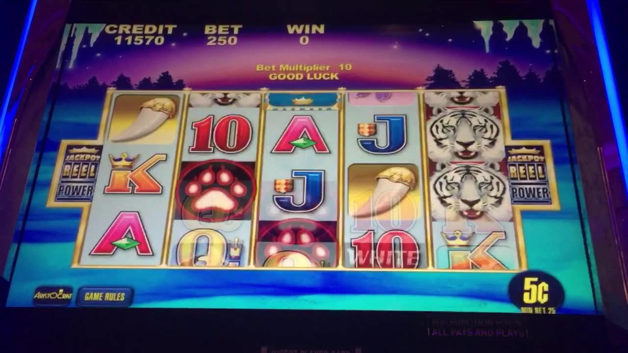 585% Best Signup Bonus Casino at Dream Dubai Casino