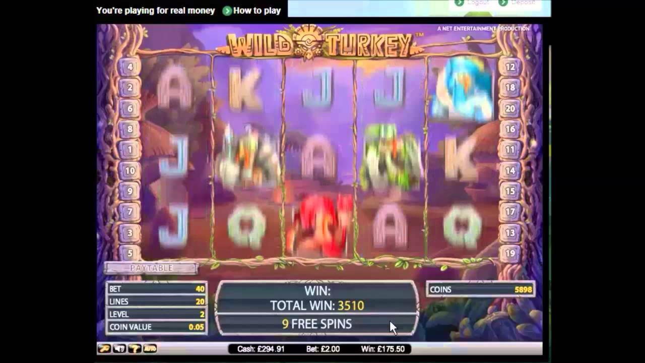 £3385 no deposit bonus at Winner Casino