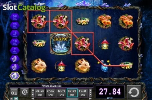 $885 Tournament at Genesis Casino