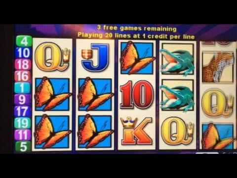 750% Match bonus at Leo Dubai Casino