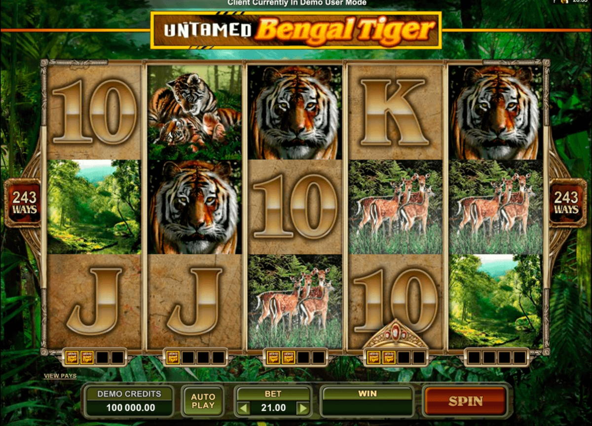 EUR 635 free chip casino at Dunder Casino