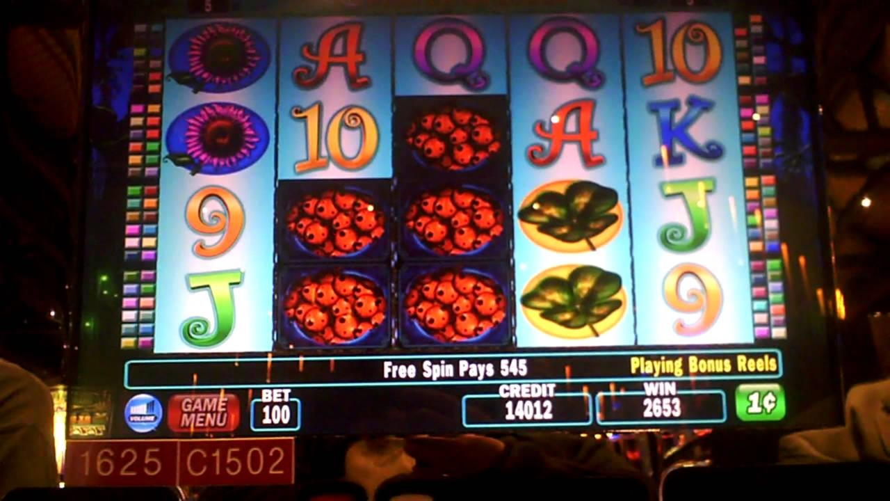 €295 Casino tournaments freeroll at Winner Casino