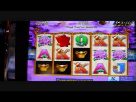 €995 Daily freeroll slot tournament at Wix Stars Casino
