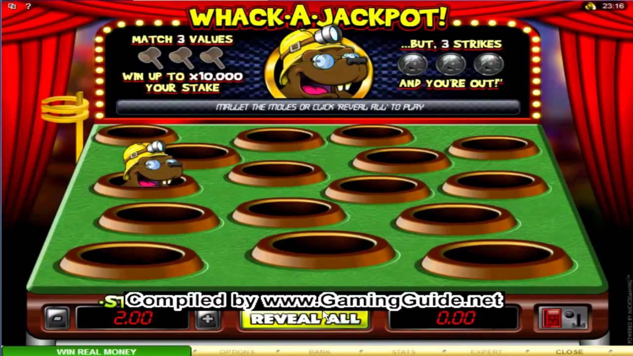 €3280 NO DEPOSIT BONUS at Royal Panda Casino