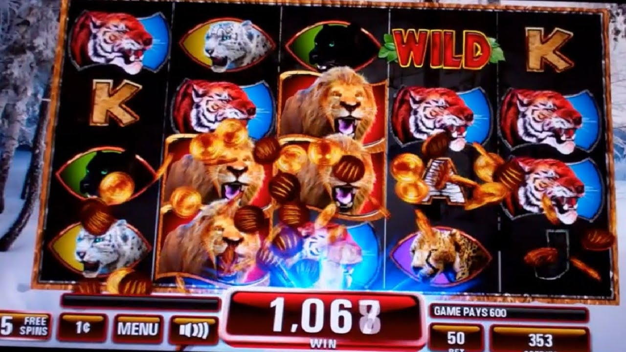 €140 free chip at Casino Shadowbet
