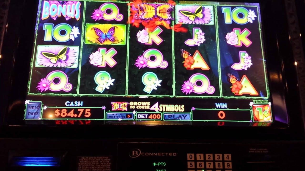 £3575 No deposit casino bonus at Touch Lucky Casino