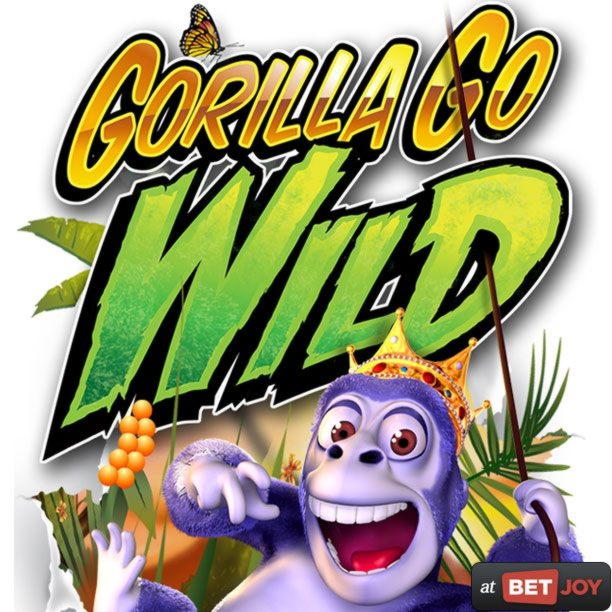 640% First Deposit Bonus at Winner Casino