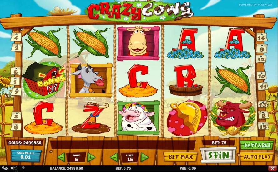 230% Match at a casino at Casino Shadowbet