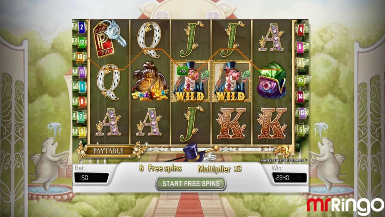 100 Free spins no deposit at CasiPlay Casino