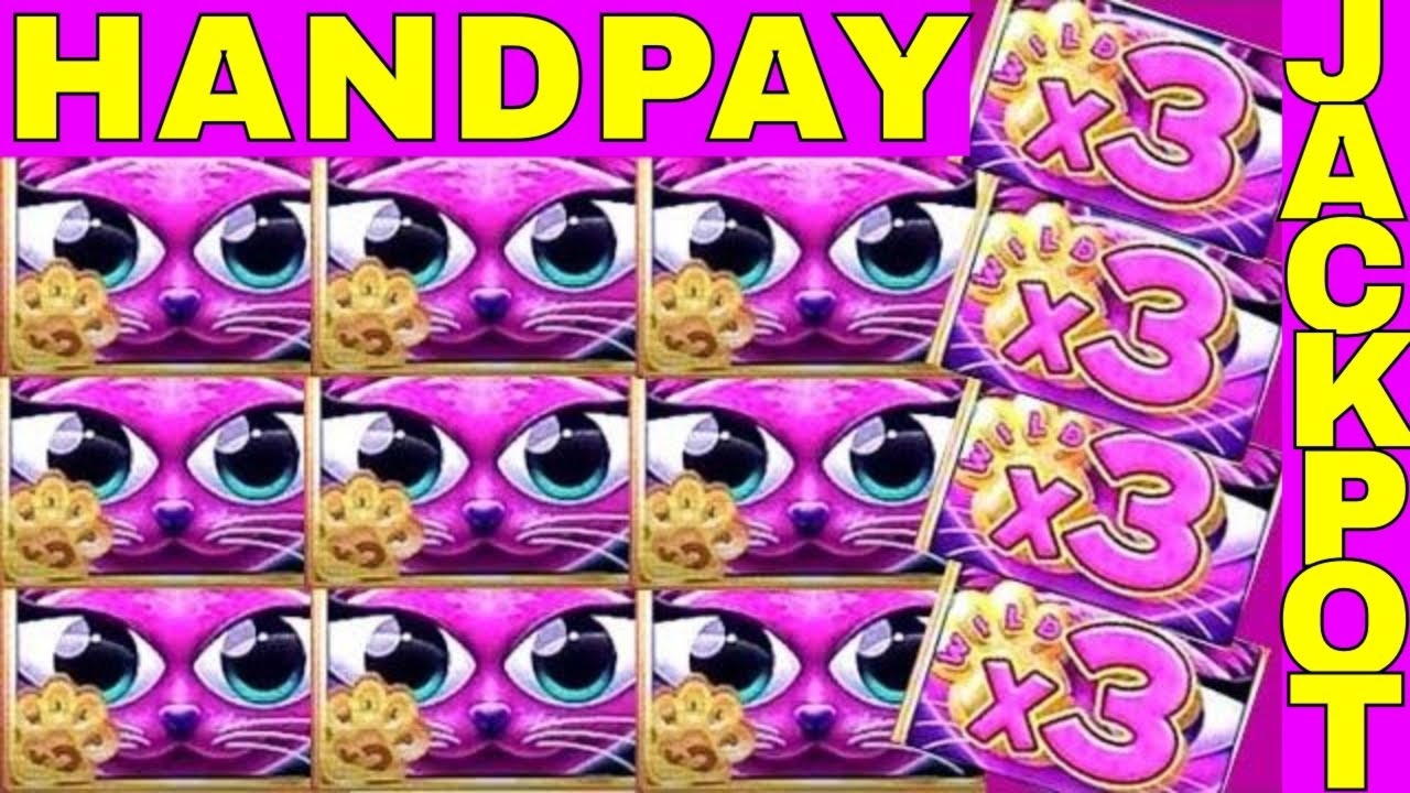£777 Mobile freeroll slot tournament at Hopa Casino