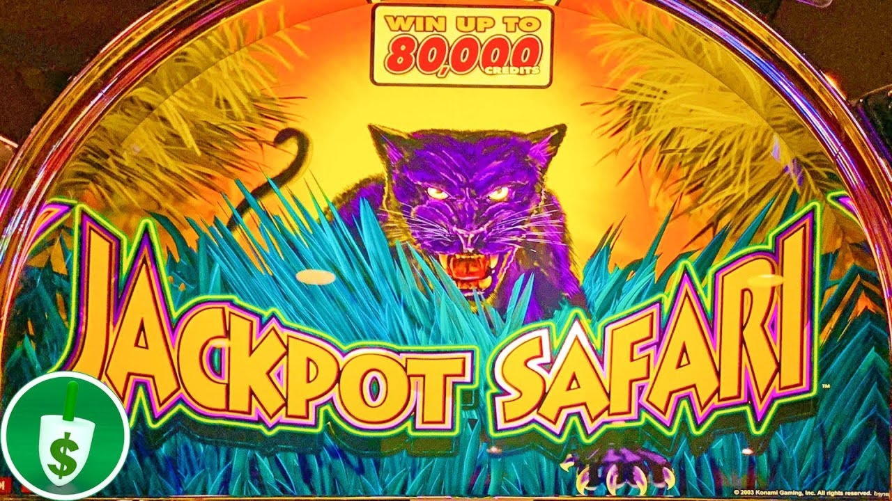 ﻿$4505 NO DEPOSIT BONUS at Grandivy Casino