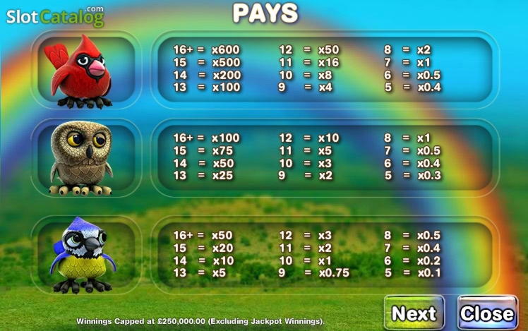 650% No Rules Bonus! at Bet Hard Casino