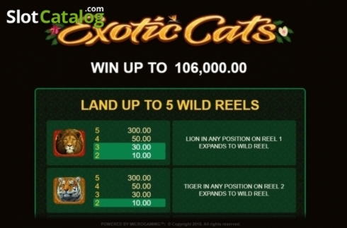 165% Signup casino bonus at Winner Casino