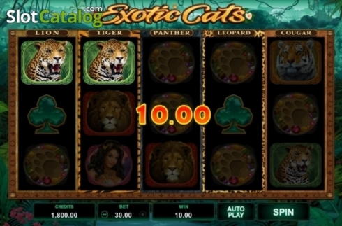 715% casino match bonus at Sloty Casino
