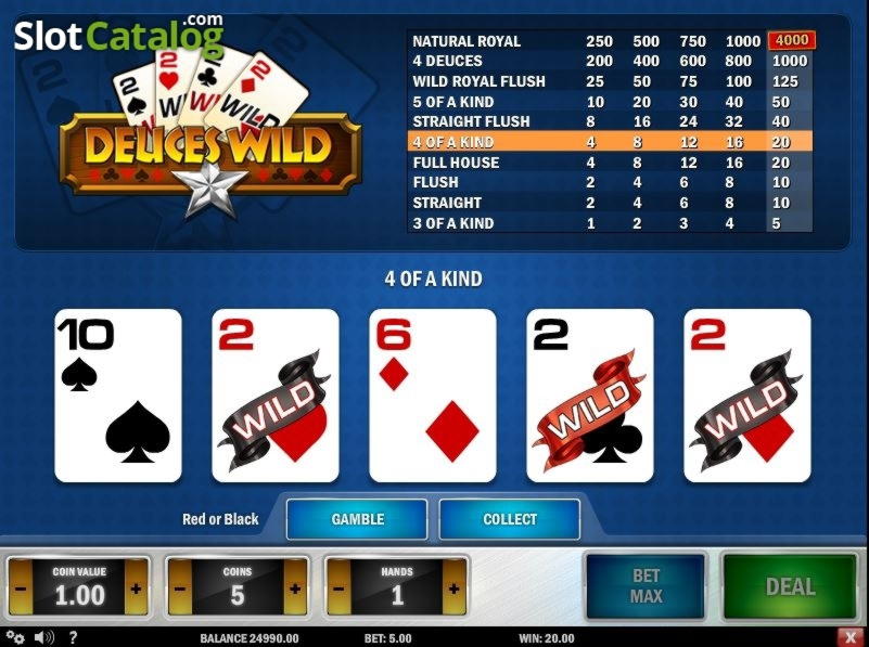 EURO 390 Free Cash at Party Casino