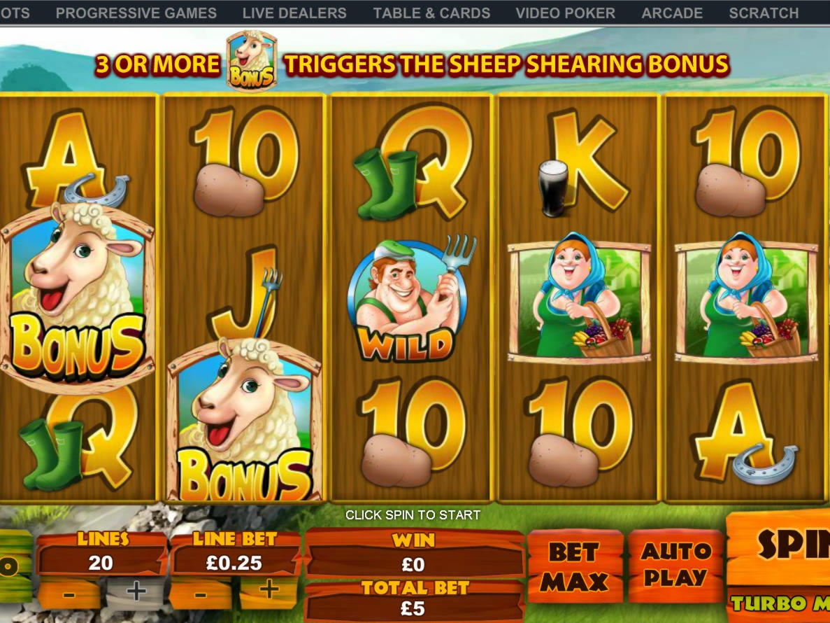 450% Best signup bonus casino at CasiPlay Casino