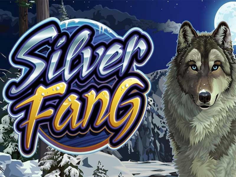 €3195 no deposit bonus casino at Sloty Casino