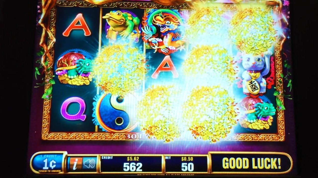 Eur 265 no deposit bonus at Casino Shadowbet