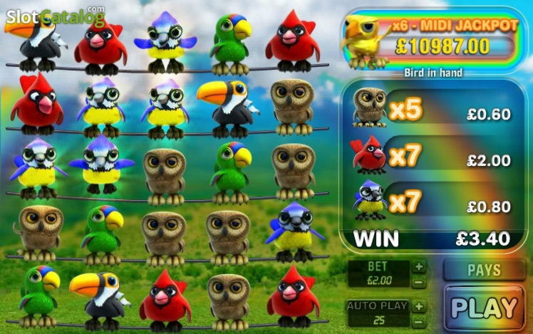 280 Free Spins right now at Dream Dubai Casino